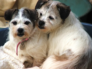 Edith and Mabel